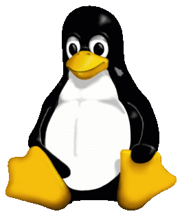 it's tux, the mascot of linux!